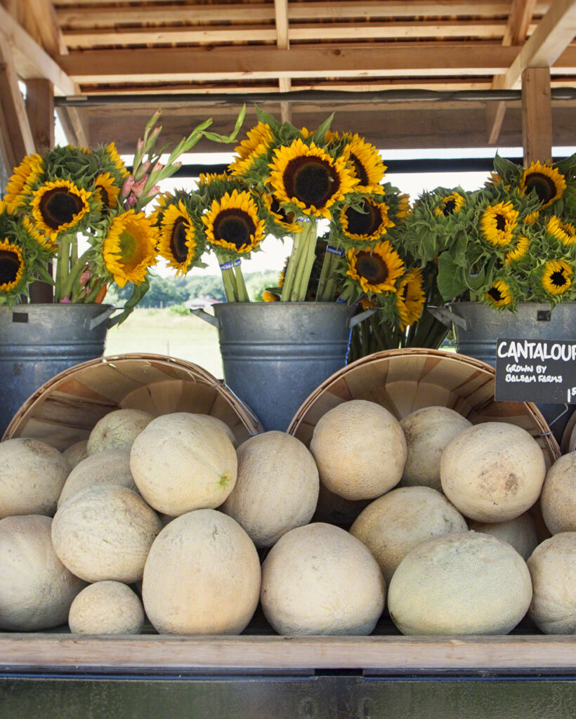 Balsam Farms photo