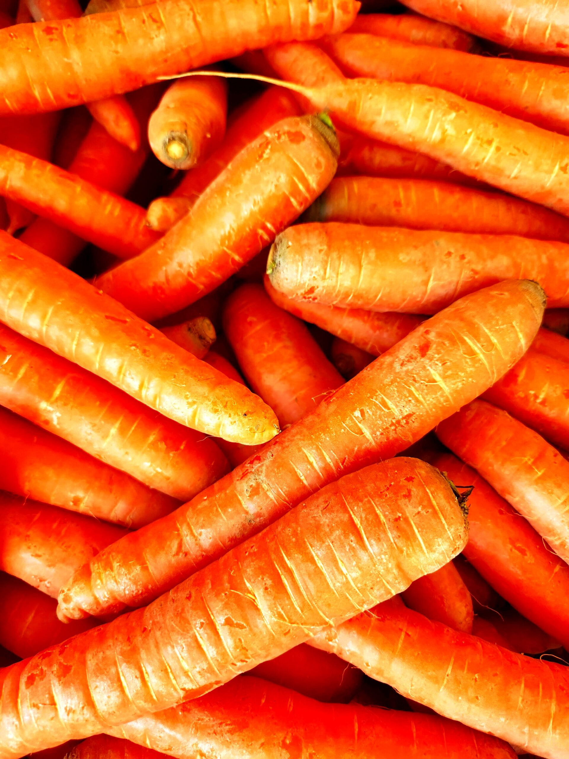 Orange Carrots - (40lbs - Bulk Discount)
