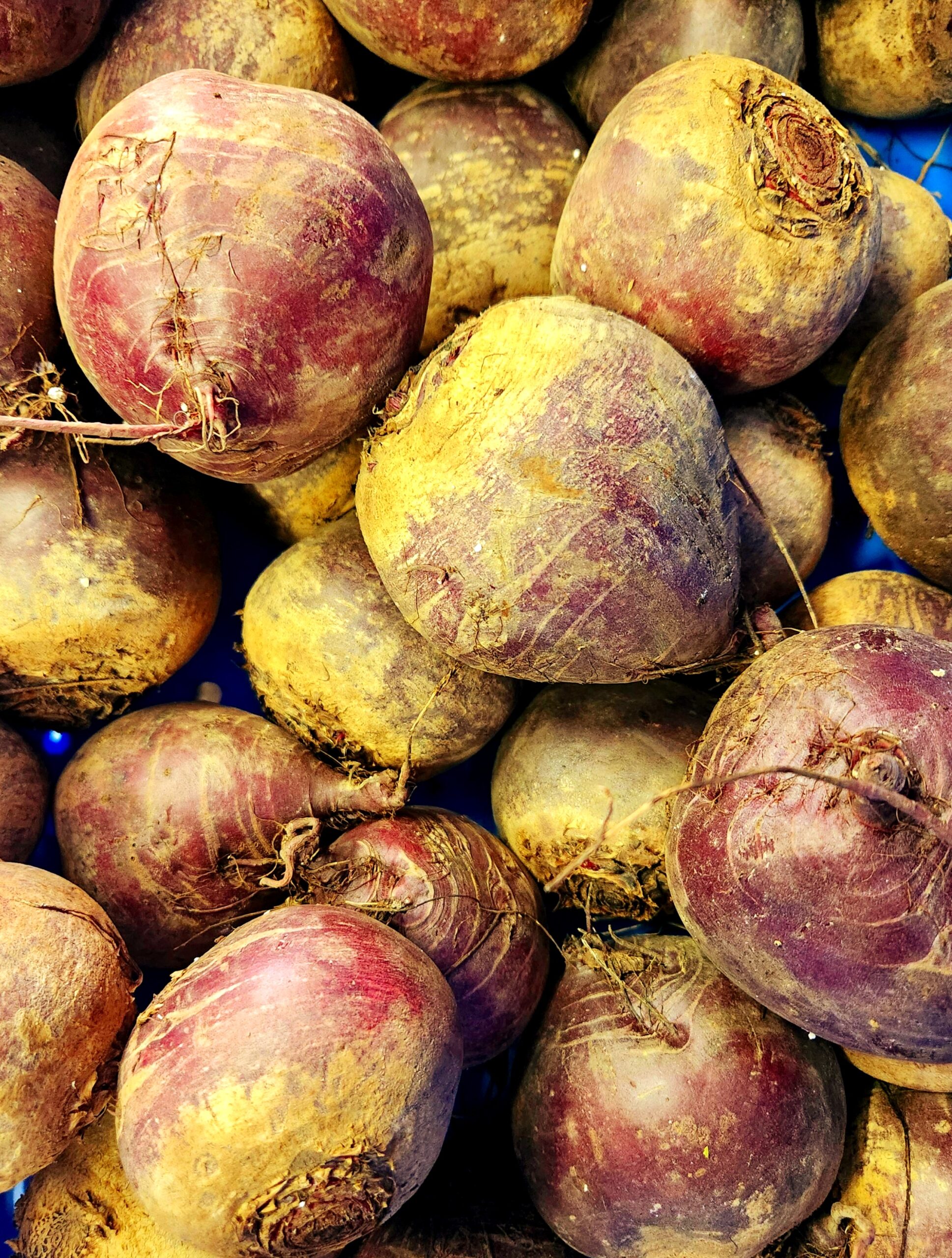 Red Beets (no tops) - 40lbs - Bulk Discount