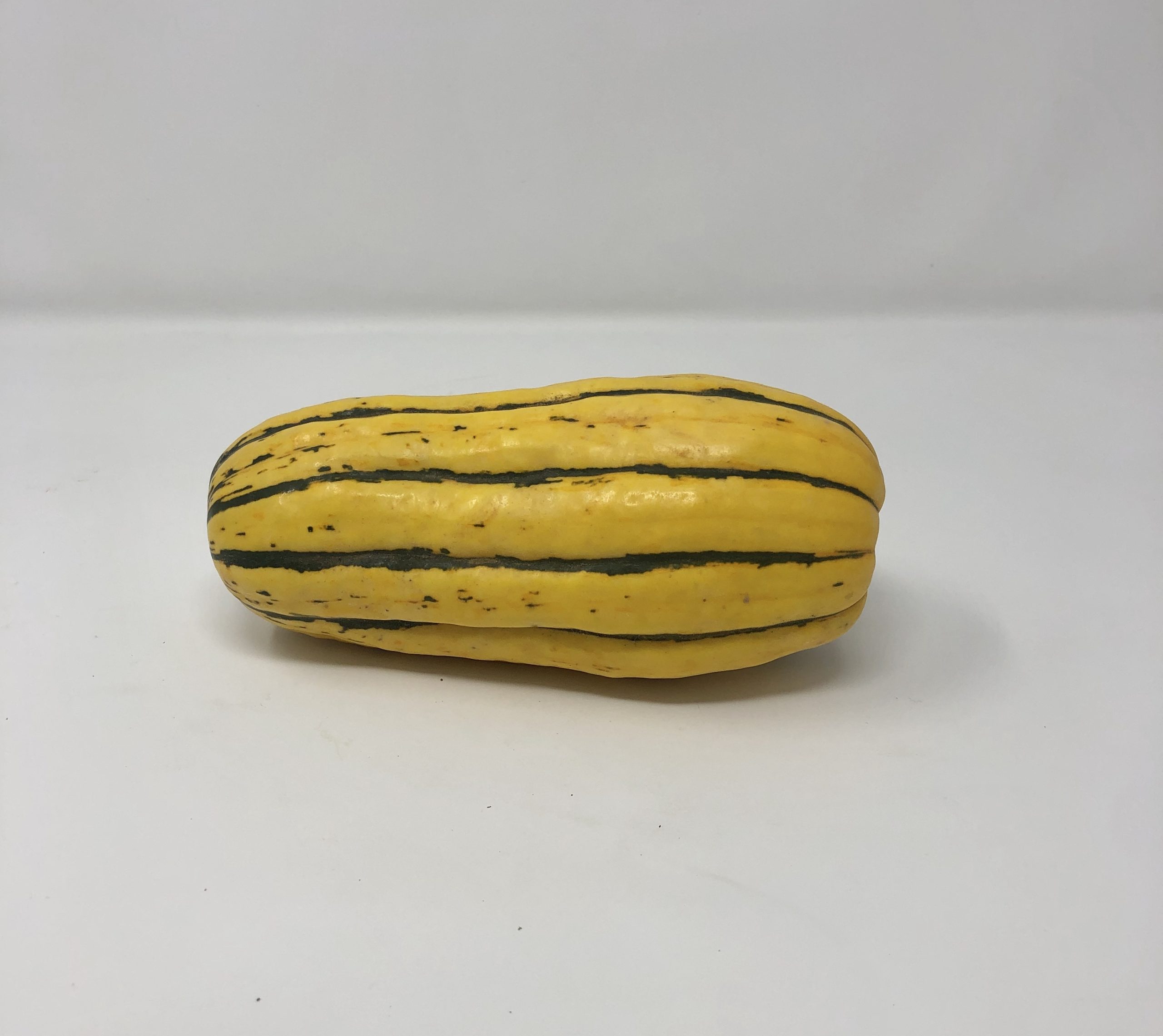 Delicata Squash