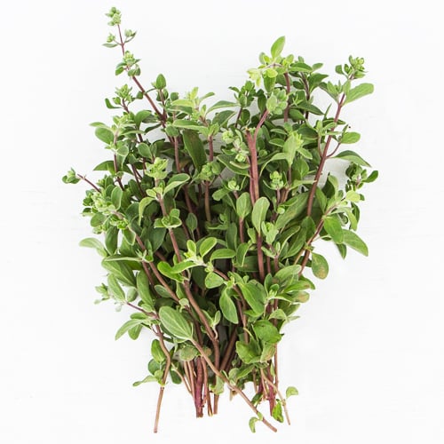 Marjoram