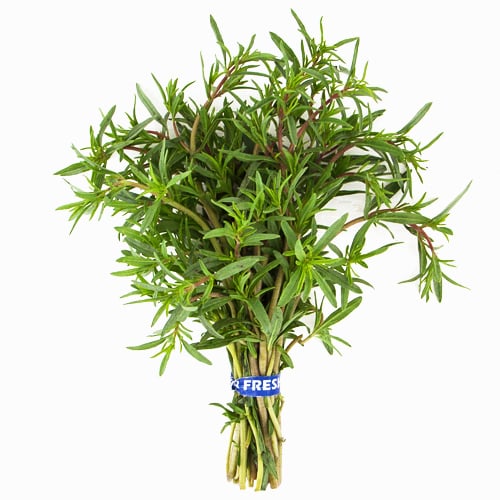 Summer Savory