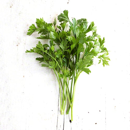 Italian Parsley