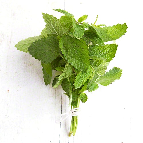 Lemon Balm