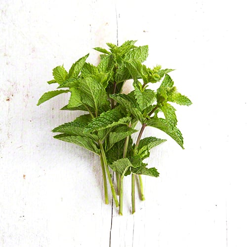 Mint