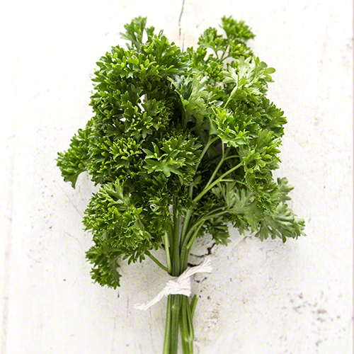 Curly Parsley