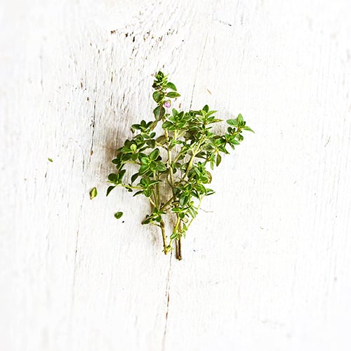 Lemon Thyme