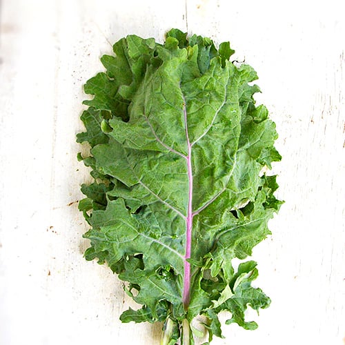 Red Russian Kale