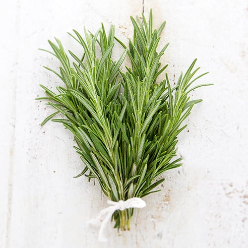 Rosemary