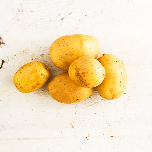Yukon Gold Potatoes (medium/small)