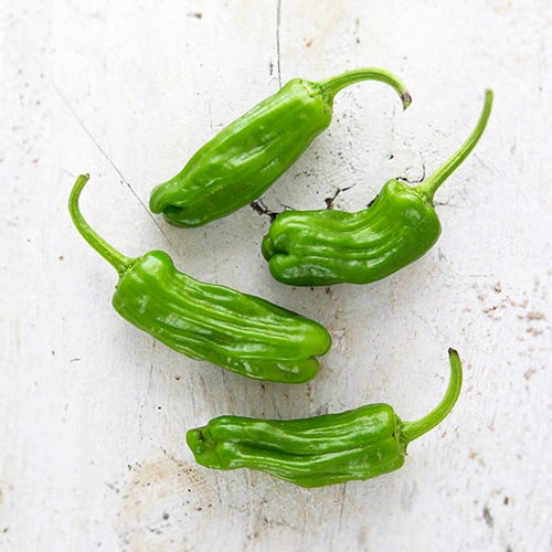 Green Shishito Peppers