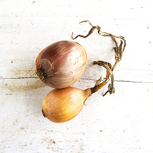 Yellow Onions
