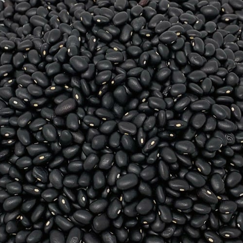 Black Beans