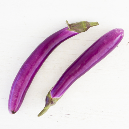 Neon Japanese Eggplant