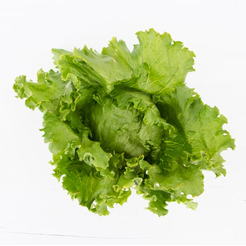 Iceberg Lettuce by the Pound