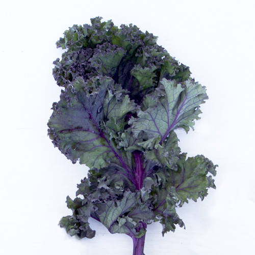 Red Curly Kale