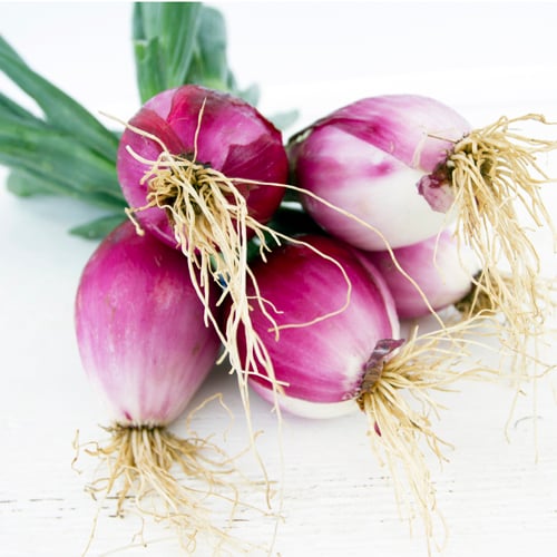 Red Onions with Green Tops
