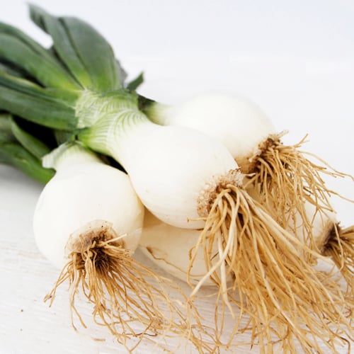 White Onions with Green Tops