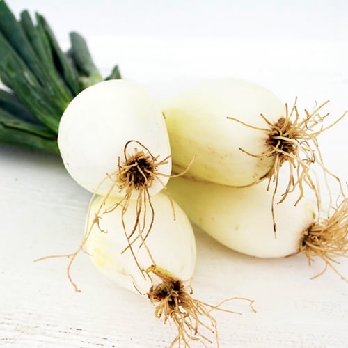 Yellow Onions with Green Tops