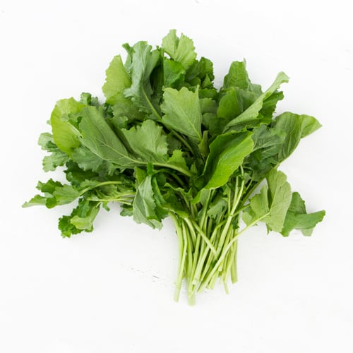 Rapini