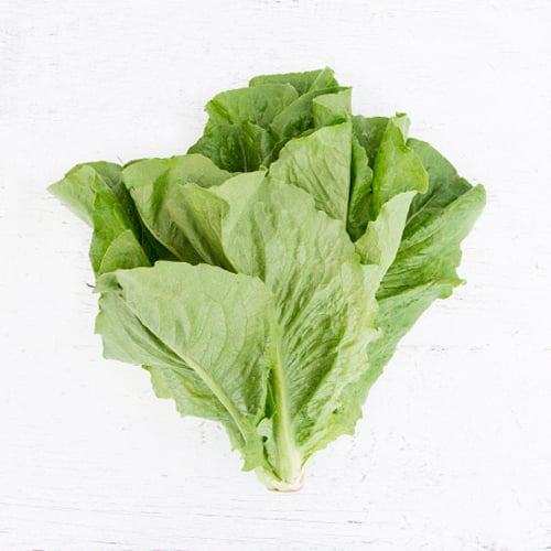 Green Romaine Lettuce by the Pound