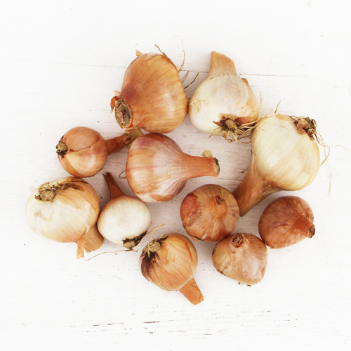 Shallots