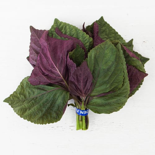 Shiso