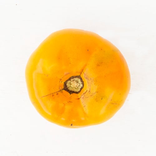 Yellow Beefsteak Tomatoes