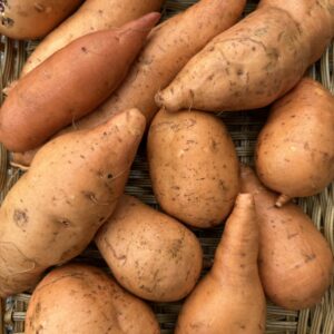 Potatoes / Sweet Potatoes