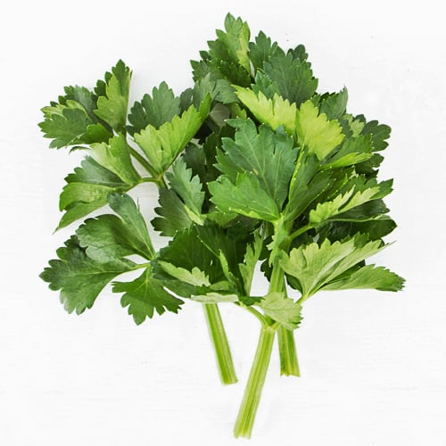 Cutting Celery