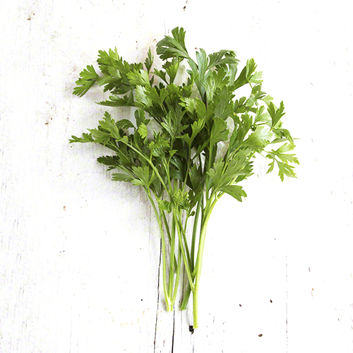 Italian Parsley