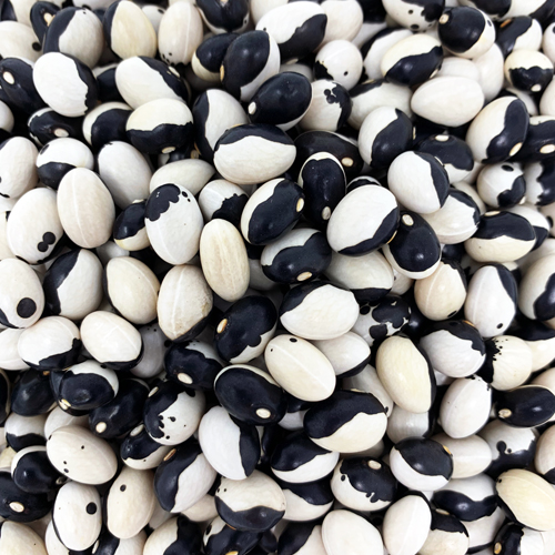 Calypso Beans