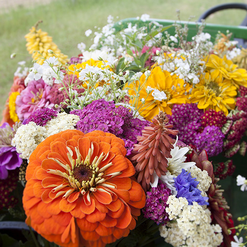 Mixed Flower Bouquet