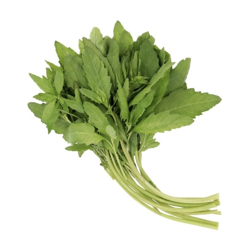 Epazote