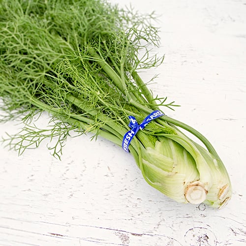 Baby Fennel