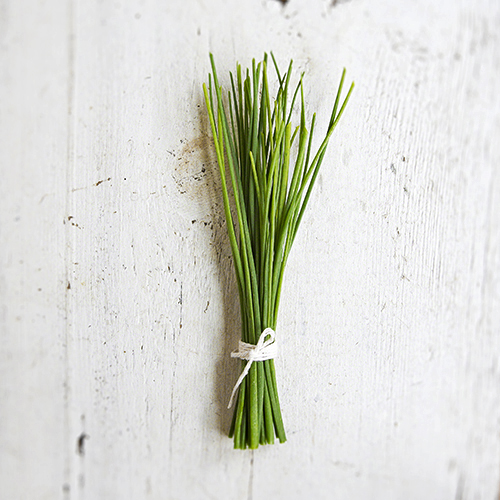 Chives