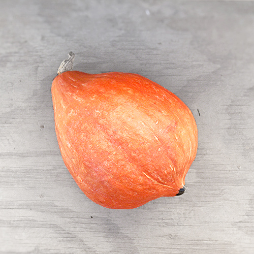 Red Kuri Squash