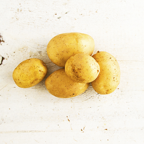 Yukon Gold Potatoes