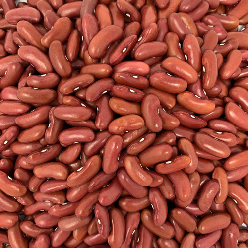 Kidney Beans
