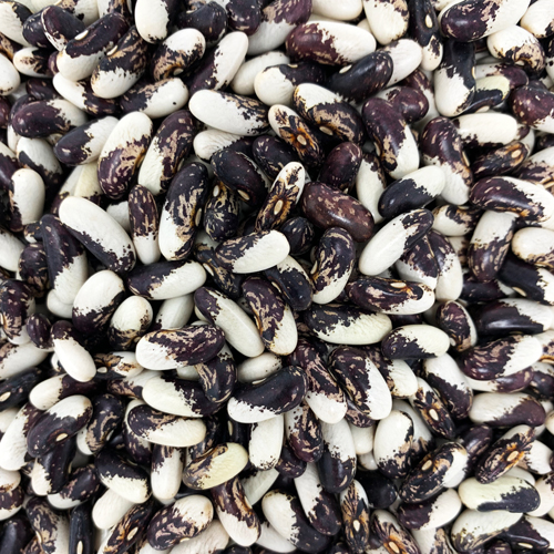 Vermont Appaloosa Beans