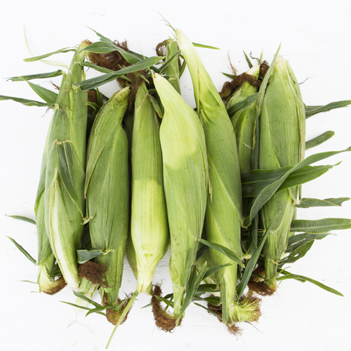 Corn - Farmer Dozen