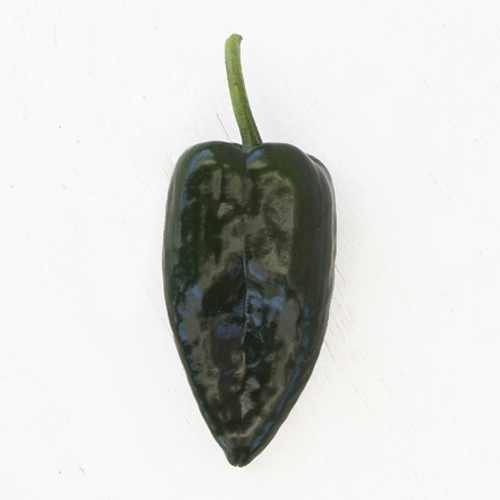 Poblano Peppers