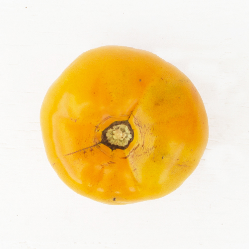 Yellow Beefsteak Tomatoes