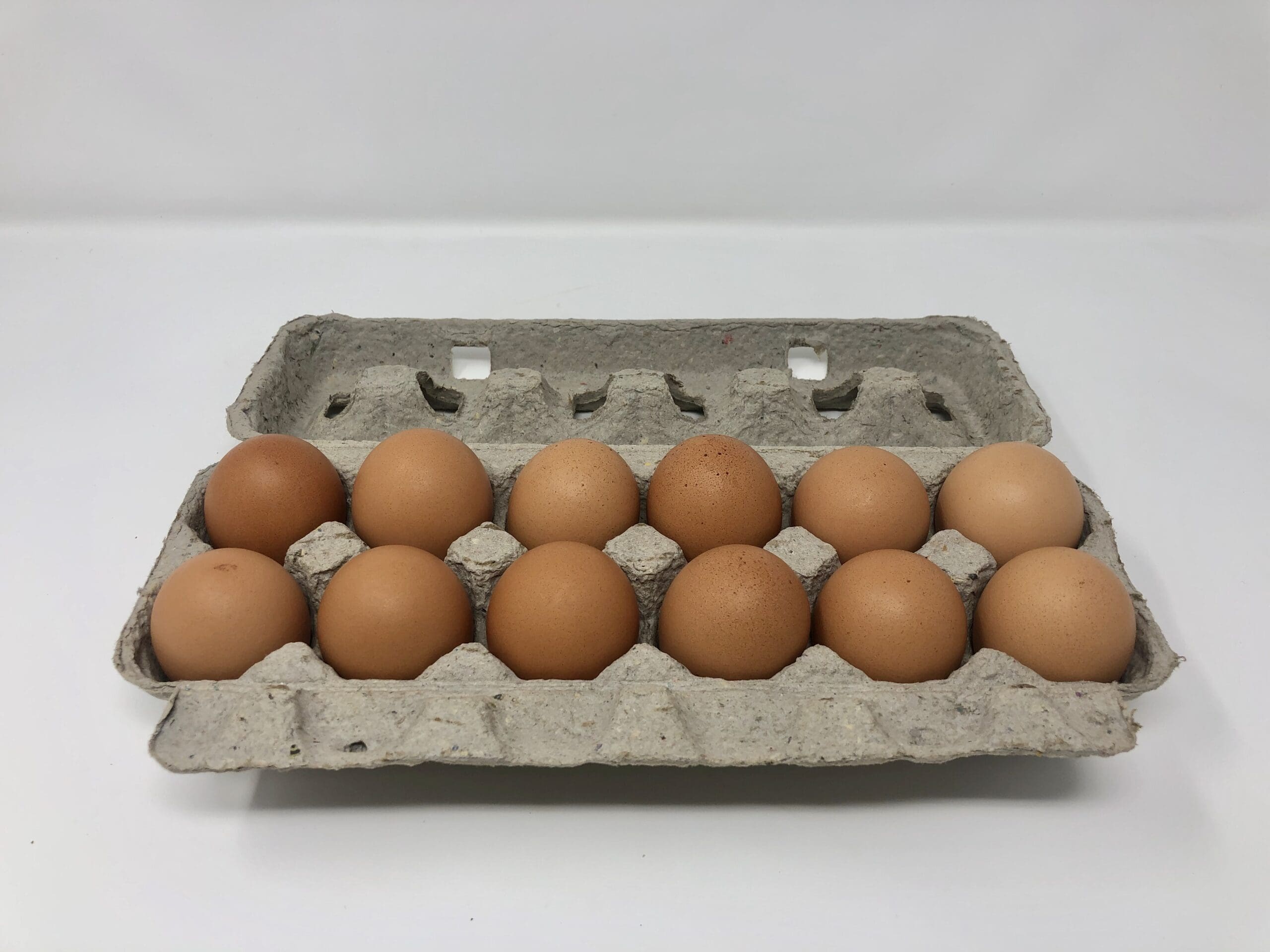 Large Eggs - Finn Farms - New York