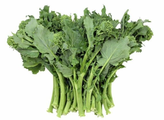 Broccoli Rabe